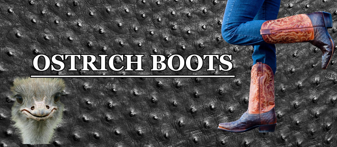 Ostrich Boots Blog