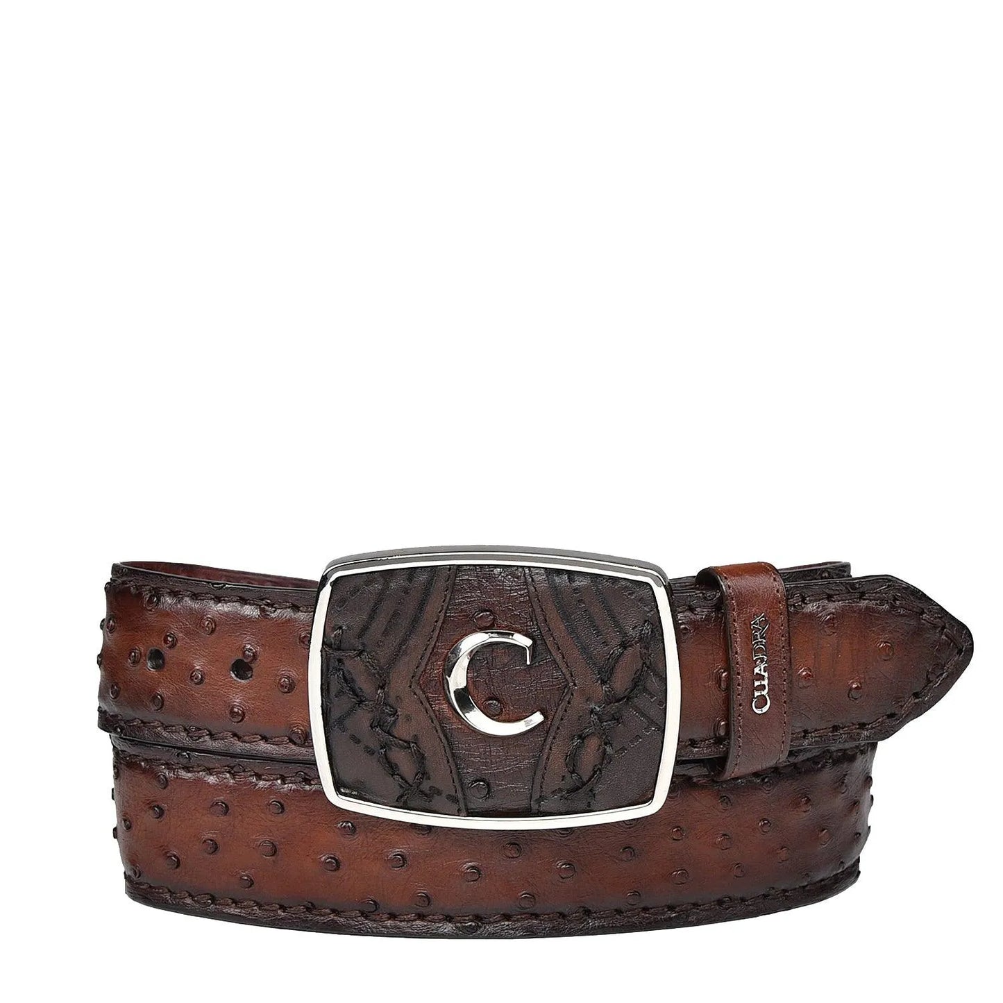 Ostrich Full Quill Belt - Men Cuadra Belt BC353 - El Rodeo Western Boutique
