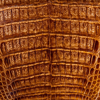 Caiman