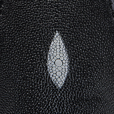 Stingray