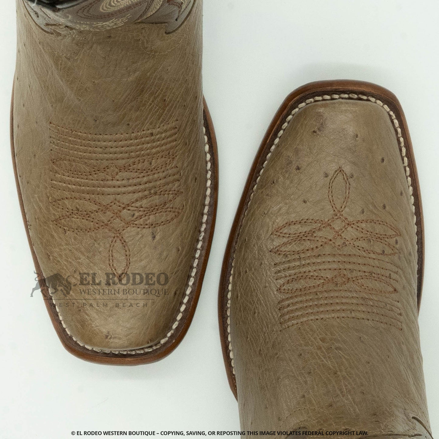 Women Los Altos Ostrich Boot H39N9765