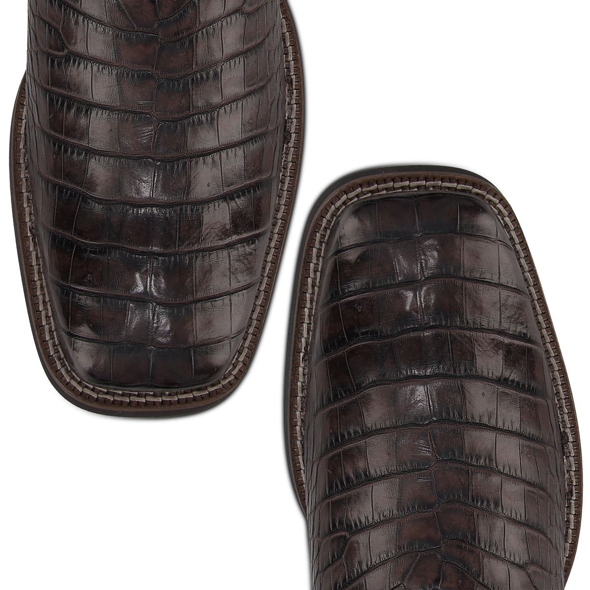 Men Cuadra Alligator Boot CC202-L