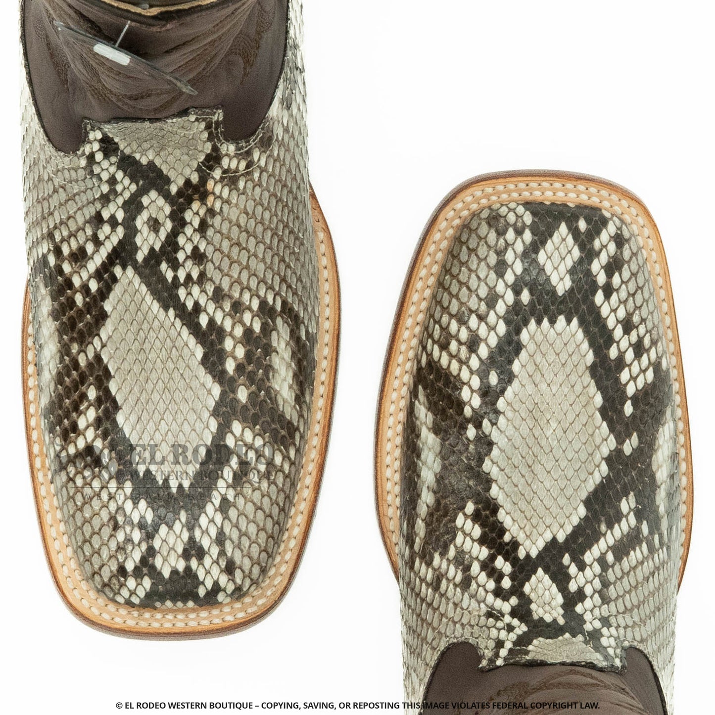 Men Los Altos Python Boot H8229849