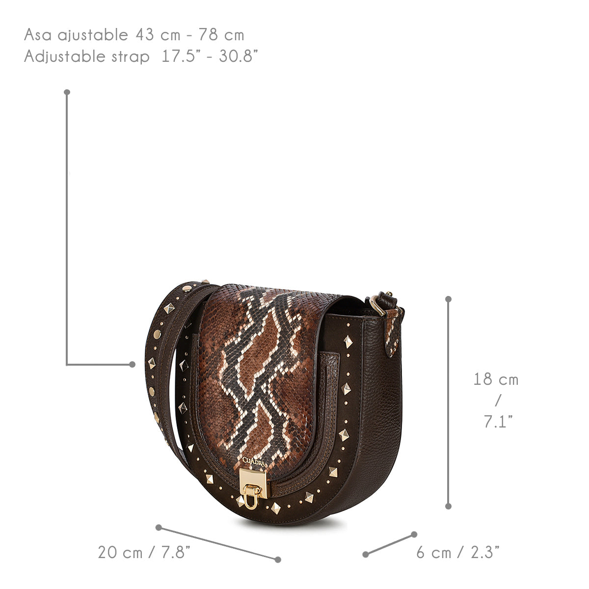 Women Cuadra Python Purse DU457