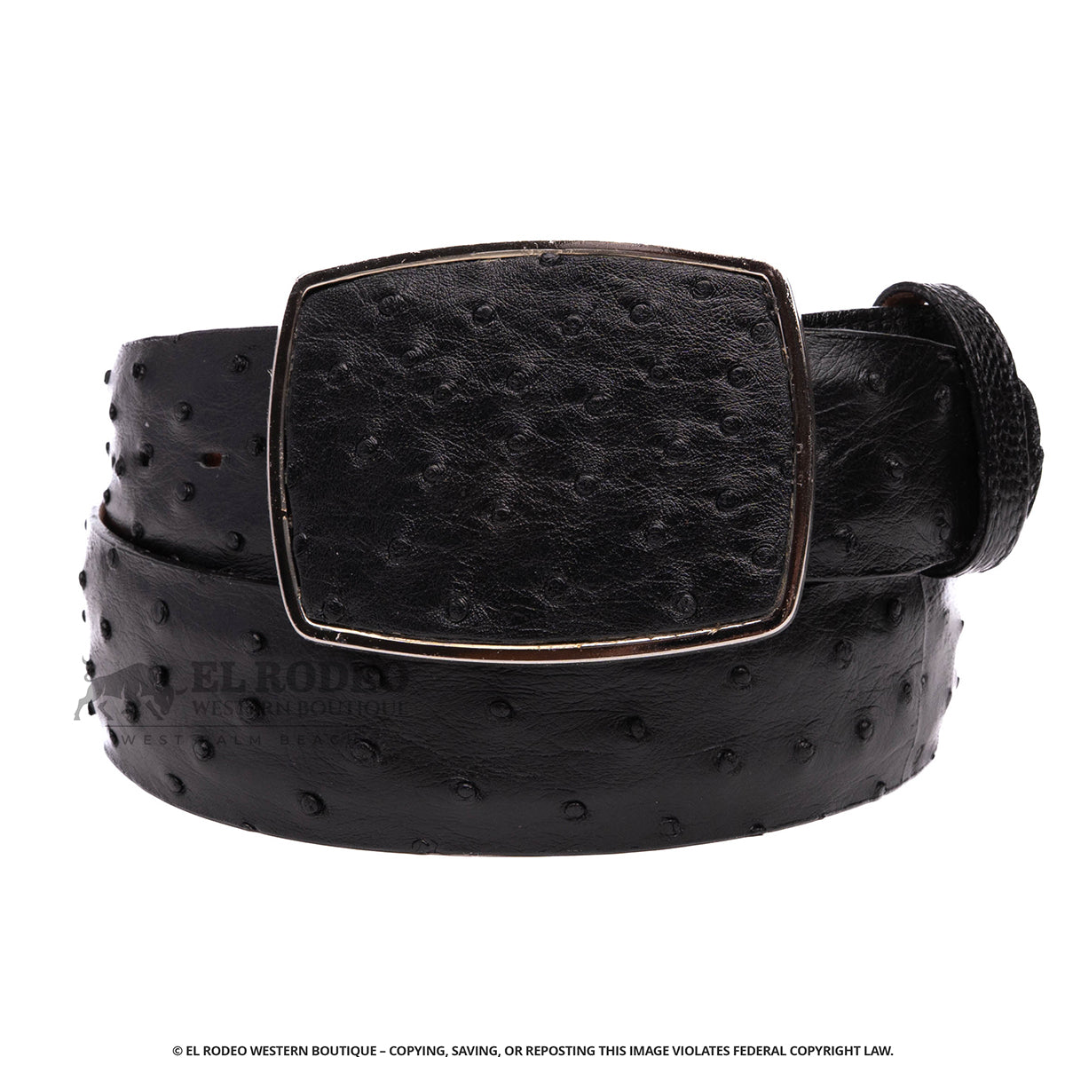 Men Los Altos Ostrich Belt C11A0305