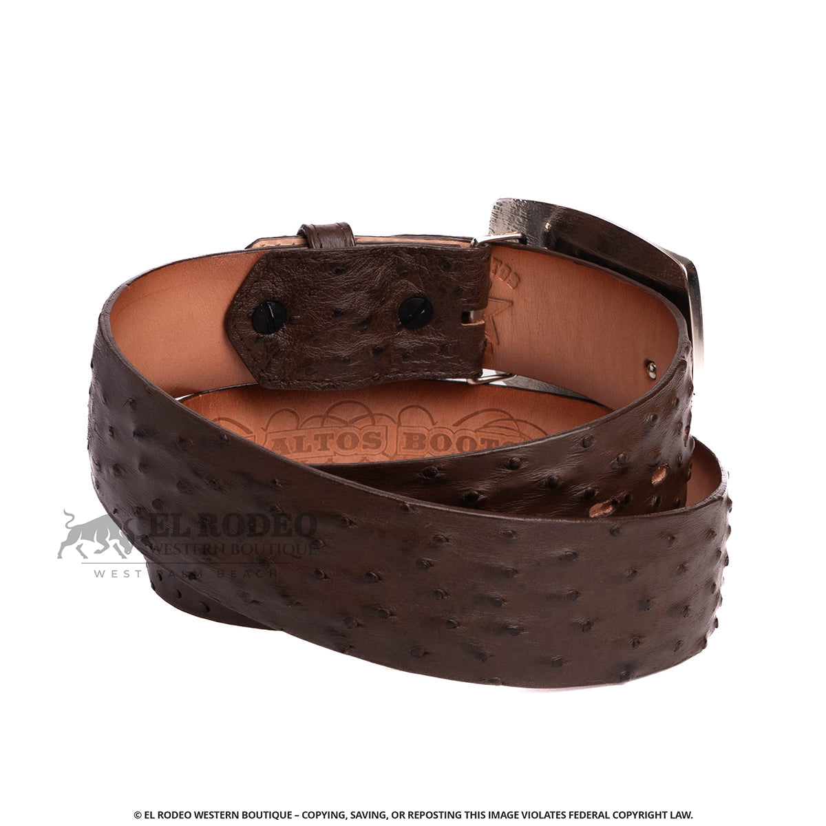 Men Los Altos Ostrich Belt C11A0307
