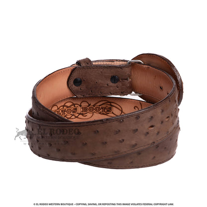 Men Los Altos Ostrich Belt C11UG0307