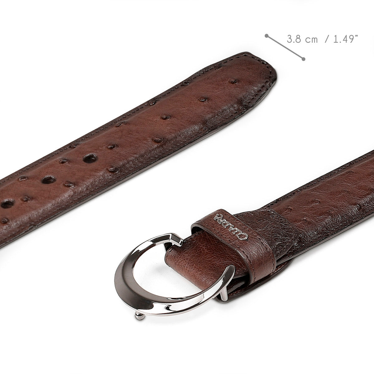Ostrich Belt - Men Cuadra Belt BC272