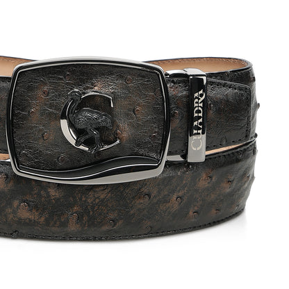 Men Cuadra Ostrich Belt BC478