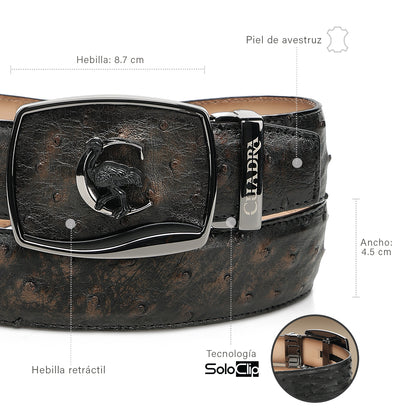 Men Cuadra Ostrich Belt BC478