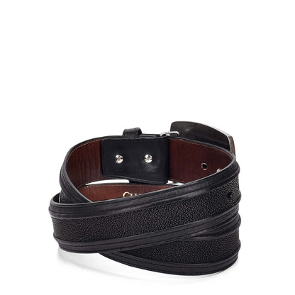 Men Cuadra Stingray Belt BC170