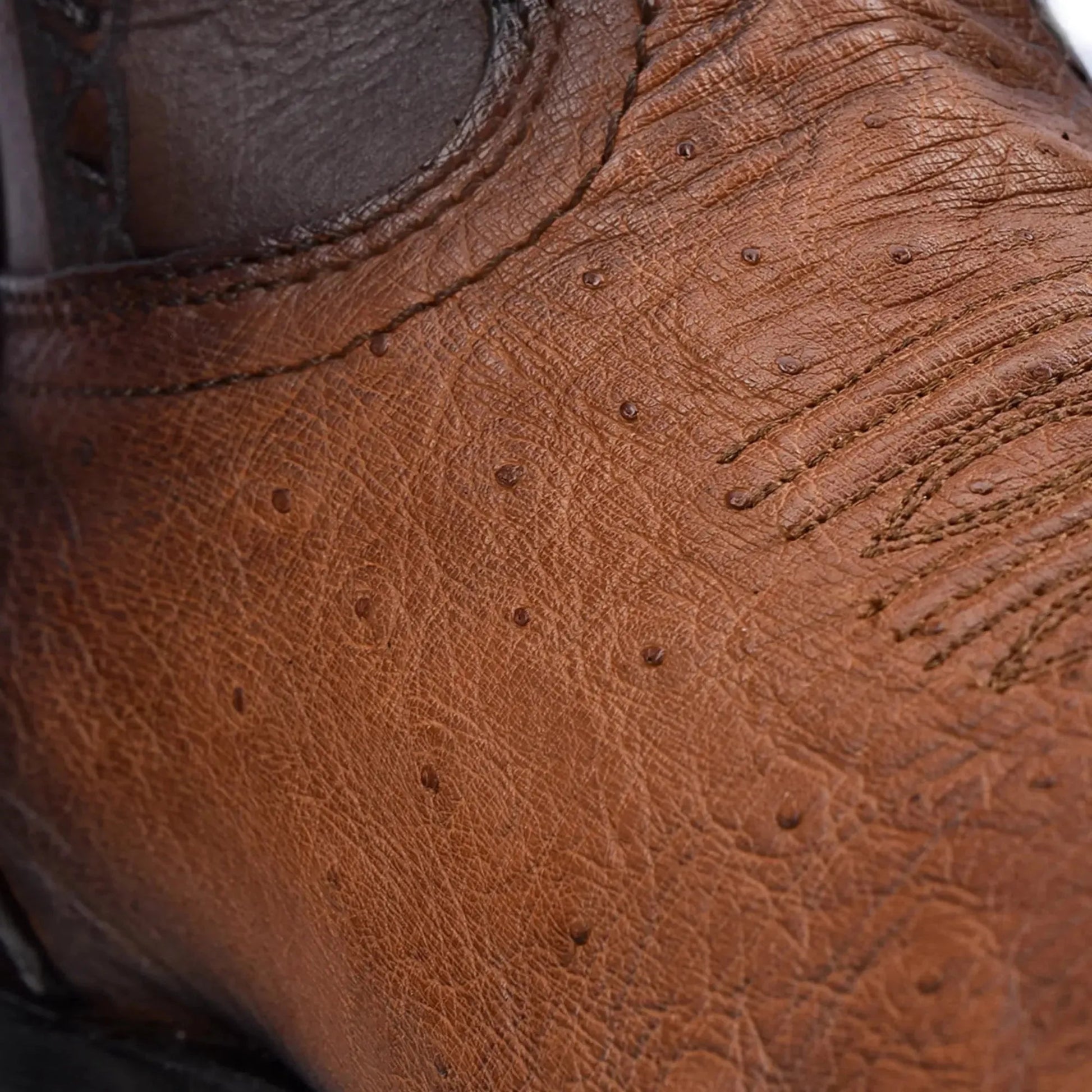 Ostrich Boots for Men: Brown Exotic Leather Cowboy Fashion - Men Cuadra Boot CU462 - El Rodeo Western Boutique