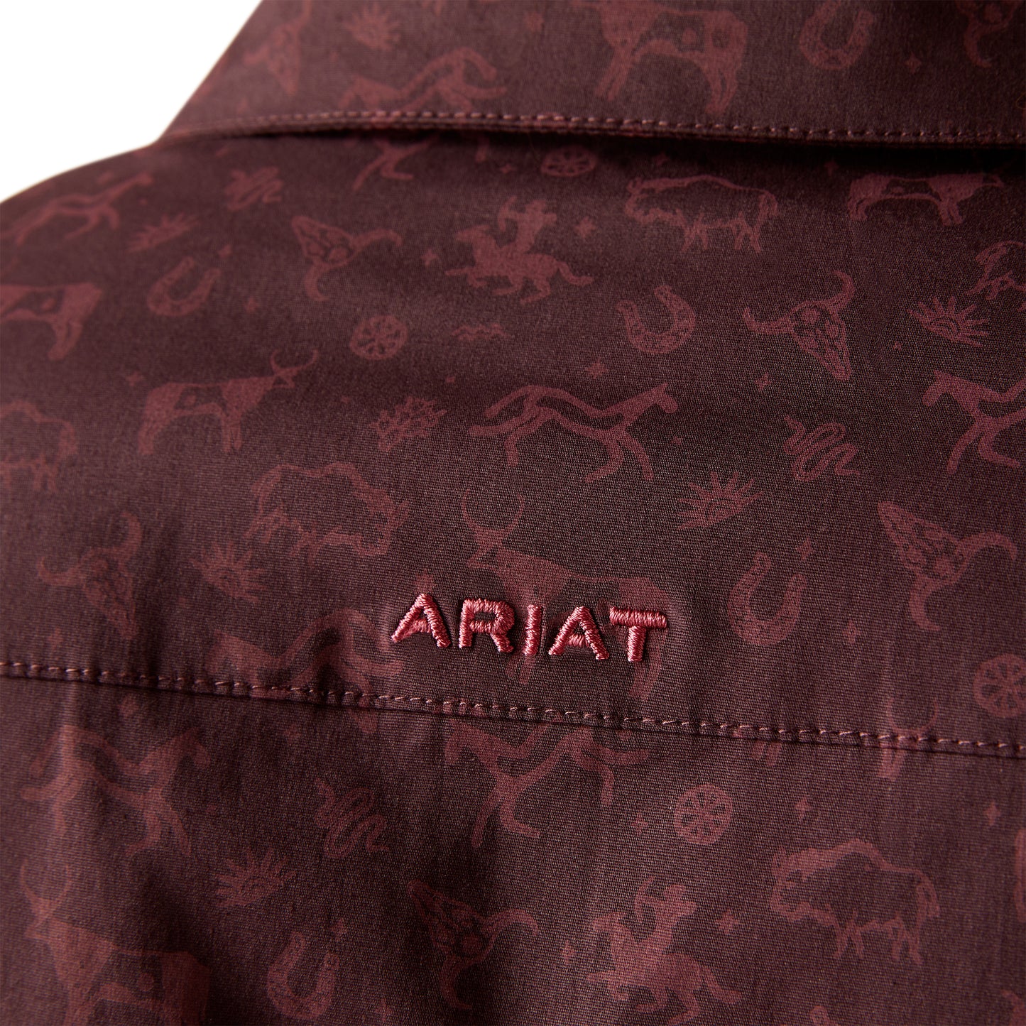 Women Ariat Acestry Shirt 10047226