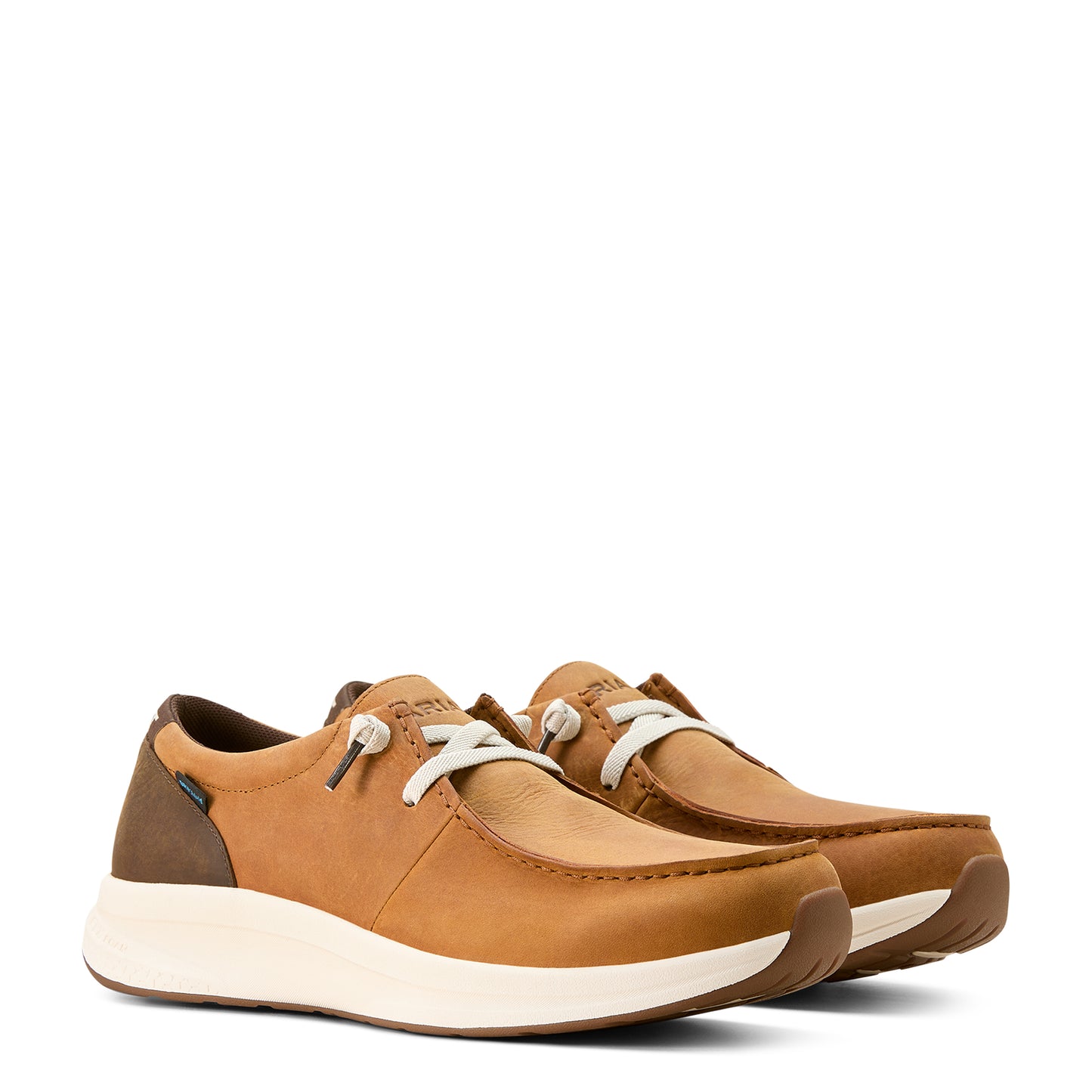 Men Ariat Shoe Coffee 10053819