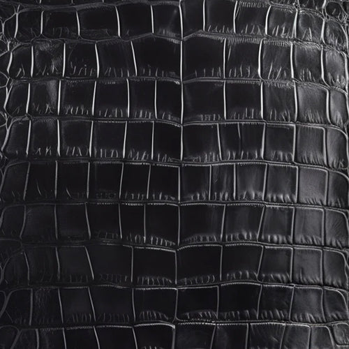 Alligator