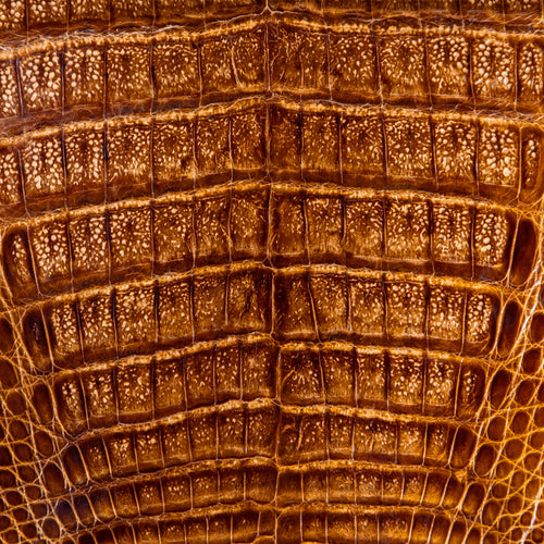 Caiman