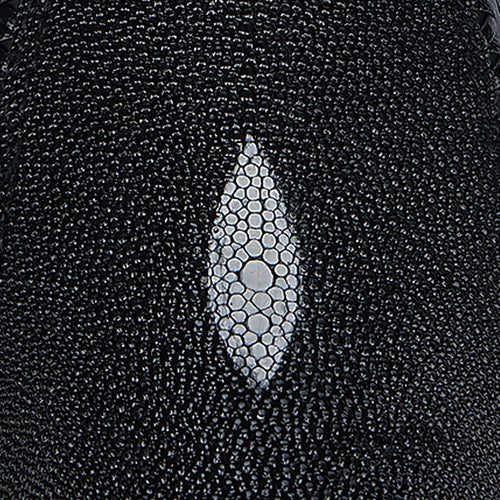 Stingray